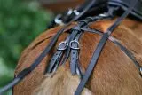 Biothane Einsp�nner Brustblatt Geschirr Set "STEADY" Minishetty Shetty Schwarz Falabella Minipony
