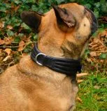 Lederhalsband AMBOS bombiert Buffalo Leder S M L XL Schwarz / Braun Halsband Leder