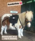 Wanderrucksack Minipony Minishetty Falabella Shetty Schwarz Braun Blau Rucksack Packtasche