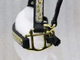 Grand Western Showhalfter Biothane Halfter Grand Minishetty + Shetty Beschlge Gold Farben MS S Westernhalfter