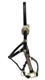 Grand Western Showhalfter Biothane Halfter Grand Minishetty + Shetty Beschlge Gold Farben MS S Westernhalfter