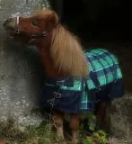 1200 D Gr�n Karo Winterdecke Regendecke nur Fleece ohne F�llung 65 70 75 80 85 90 95 100 - 0 Gramm