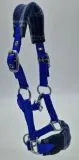 Halfter Karo Fleece Blau Minishetty Mini Shetty Fohlen Nylon Royal Nylonhalfter Fohlenhalfter