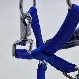 Halfter Karo Fleece Blau Minishetty Mini Shetty Fohlen Nylon Royal Nylonhalfter Fohlenhalfter