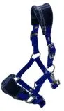 Halfter Karo Fleece Blau Minishetty Mini Shetty Fohlen Nylon Royal Nylonhalfter Fohlenhalfter