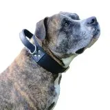 Halsband Halt´i Leder Schwarz Haltegriff WEICH unterlegt M L XL Breit Lederhalsband mit Griff Haltehalsband