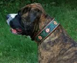 Halsband Embross Braun gestanzt + bemalen Grn Blumen WEICH unterlegt M L XL Breit Hohe Zugkraft