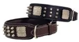 Halsband Leder Rocky Braun Schwarz Nieten WEICH unterlegt M L XL Breit Beiss Schutz Nietenhalsband
