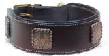 Halsband Zeus mit Conchos Schwarz Silber Farben super WEICH unterlegt M L XL