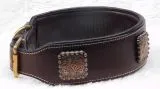 Halsband Zeus mit Conchos Schwarz Silber Farben super WEICH unterlegt M L XL