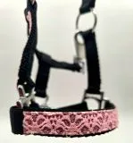 Halfter Fancy MMS MS S Glitzer Rosa Fohlen Fohlenhalfter Glitzerhalfter Kleiner Karabiner