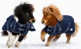 1200 D Winterdecke BLAU Regendecke 100 Gramm F�llung Gr. 65 70 75 80 85 90 95 Turnout Decke Thermodecke