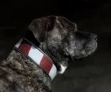 Andi Vintage Style Lederhalsband Rot Wei Leder fest genht S M L Halsband Leder