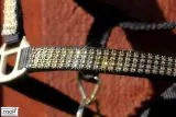 Nylon Glitzer Halfter Schwarz Goldfarben Hilly Pony X Full B- WARE !!!! Nylonhalfter Glitzerhalfter