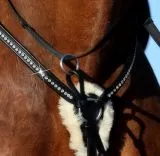 5 Punkt Glitzer Strass Vorderzeug Halla Strass Elastik LEDER weich Pony VB WB X-Full Schwarz