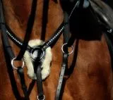 5 Punkt Glitzer Strass Vorderzeug Halla Strass Elastik LEDER weich Pony VB WB X-Full Schwarz