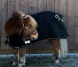 Paradedecke Wolle Schwarz Gold 65 75 85 95 100 Abschwitzdecke Cooler Schwarz Zierkordel REST RAUS !