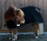 Paradedecke Wolle Schwarz Gold 65 75 85 95 100 Abschwitzdecke Cooler Schwarz Zierkordel REST RAUS !