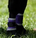 Cosima Barock Set Schabracke + Show Gamaschen Minishetty Shetty Rot Lila Wollwei = B- WARE