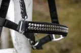 Halfter Lennox Nylon Schwarz Nieten Nylon Pony VB WB X Full Schwarz Nietenhalfter Silber -oder Goldfarben