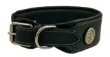 Lederhalsband Zorro Schwarz Conchos fest genht M L XL BREIT ! Leder Halsband Hundhalsband