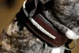 Leder Halsband Stitch geflochten Schwarz Wei Braun M L XL BREIT Lederhalsband
