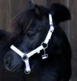 Halfter Holly Nylonhalfter Wei� Lila Rosa Rot Minishetty Shetty Fohlen MMS MS S