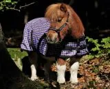 1200 Denier Outdoordecke Regendecke Fleece Futter Lila Karo NUR 65 cm REST RAUS