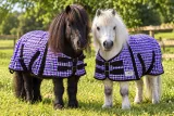 1200 Denier Outdoordecke Regendecke Fleece Futter Lila Karo NUR 65 cm REST RAUS Fohlendecke