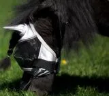 Fliegenhaube + + Lissy MIT Ohr MIT Nasenschutz Gr. SHETTY Grau Schwarz Fliegen Haube Fliegenmaske