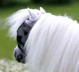 Fliegenhaube - - Lissy Ohne Ohr Ohne Nasenschutz Minishetty SHETTY Grau Schwarz Fliegen Haube Fliegenmaske