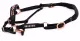 Lederhalfter German Ros� Schwarz Halfter Leder Rosegold VB WB X Full Glitzer Halfter Leder Rosegold