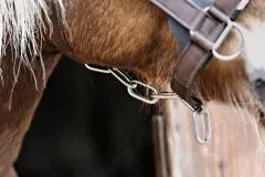 Halfter Big BOY Nylon EXTRA STARK mit Gebiss Ringen / Kette Schwarz Braun XFULL XX FULL Kaltblut