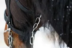 Halfter Big BOY Nylon EXTRA STARK mit Gebiss Ringen / Kette Schwarz Braun XFULL XX FULL Kaltblut