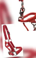 Fancy Halfter Minishetty Shetty Fohlenhalfter Glitzer Rot Glitzerhalfter Nylonhalfter Falabella Minipony
