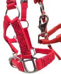 Fancy Halfter Minishetty Shetty Fohlenhalfter Glitzer Rot Glitzerhalfter Nylonhalfter Falabella Minipony