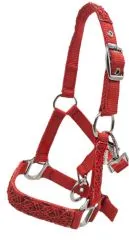 Fancy Halfter Minishetty Shetty Fohlenhalfter Glitzer Rot Glitzerhalfter Nylonhalfter Falabella Minipony