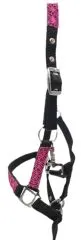 Halfter Fancy Minishetty Shetty Fohlenhalfter Glitzer Schwarz Pink Fohlen Glitzerhalfter Nylonhalfter