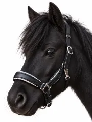 Elara Lederhalfter Glitzer weiches Leder Halfter ergonomisches Genick Minishetty Shetty Welsh Glitzerhalfter