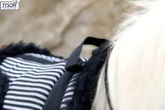 Barepad Reitkissen Fleece Plüsch Schwarz/Weiß Minishetty Shetty Pony