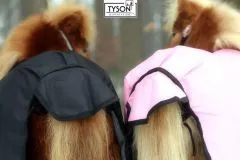 600D Regendecken, KLETT Schwarz Falabella Minishetty 60 65 70 75 80 85 90 95 100 cm Rckenlnge Shetty Welsh Fohlen