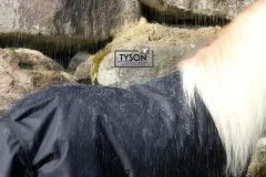 600D Regendecken, KLETT Schwarz Falabella Minishetty 60 65 70 75 80 85 90 95 100 cm Rckenlnge Shetty Welsh Fohlen