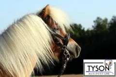 Mini Fahrgebiss Postkandare Minishetty Pelham 7,0 - 12,5 cm dop.gebrochen + Kinnkette