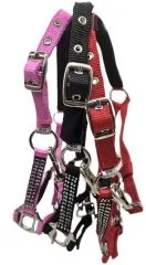 Nylon Halfter Hilly SA Glitzer Minishetty Shetty Glitzerhalfter Nylonhalfter Schwarz Rot Rosa Glitzerhalfter