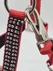 Nylon Halfter Hilly SA Glitzer Minishetty Shetty Glitzerhalfter Nylonhalfter Schwarz Rot Rosa Glitzerhalfter