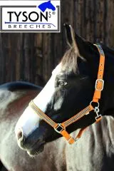 Halfter Hilly Nylon Orange GLITZER MMS Fohlen Minishetty Shetty P VB WB EXF Nylonhalfter