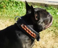 Halsband Robin Schwarz Braun geflochten Band super WEICH unterlegt M L XL