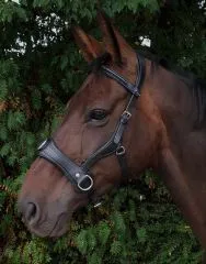 Natan Kappzaum LEDER Schwarz Warmblut Einzelstck ergonomisch