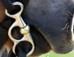 Mini Fahrgebiss Postkandare Minishetty Pelham 7,0 7,5 8,0 8,5 9,0 9,5 10,0 10,5 11,0 11,5 12,0 12,5 Fahrgebiss Fahren Kutsche