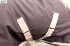 600 D NUR KLETT Regendecke Minipony Shetty Braun 60 65 70 75 80 85 90 95 100 ohne Schnallen